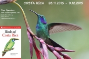 000.01.2.001.Colibri-thalassinus.San-Gerardo-de-Dota.Costa-Rica.9.12.2015